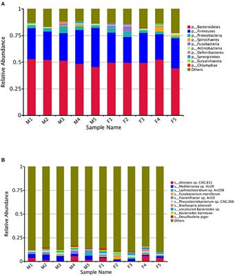 Metagenomic Analysis Identifies Sex-Related Cecal Microbial Gene Functions and Bacterial Taxa in the Quail